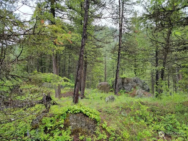 $385,000 | 2510 East San Poil Road, Keller, WA 99140