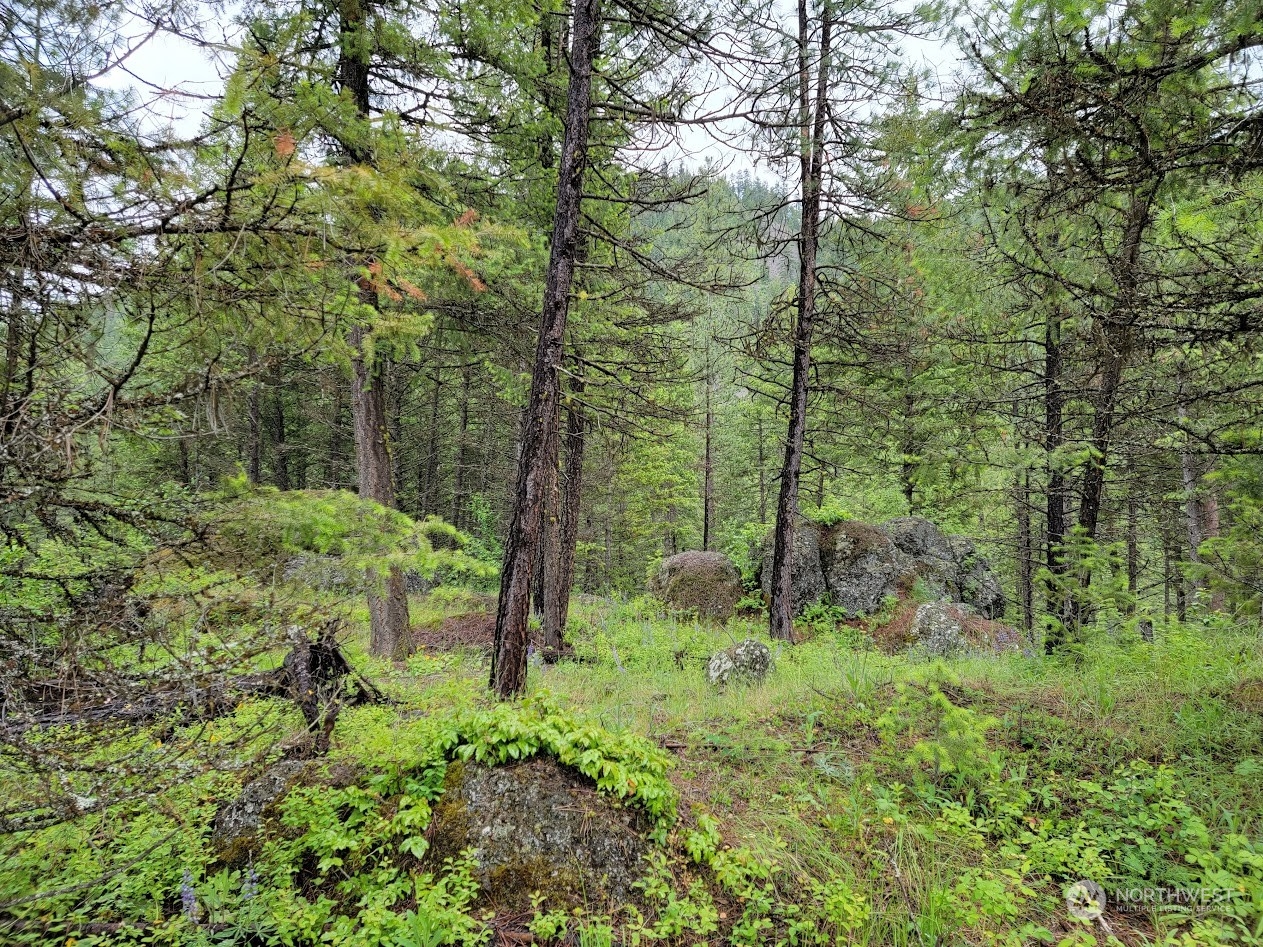 2510 East San Poil Road Keller, WA 99140 - Photo 22 of 38