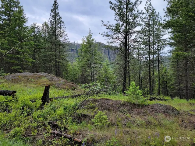 $385,000 | 2510 East San Poil Road, Keller, WA 99140