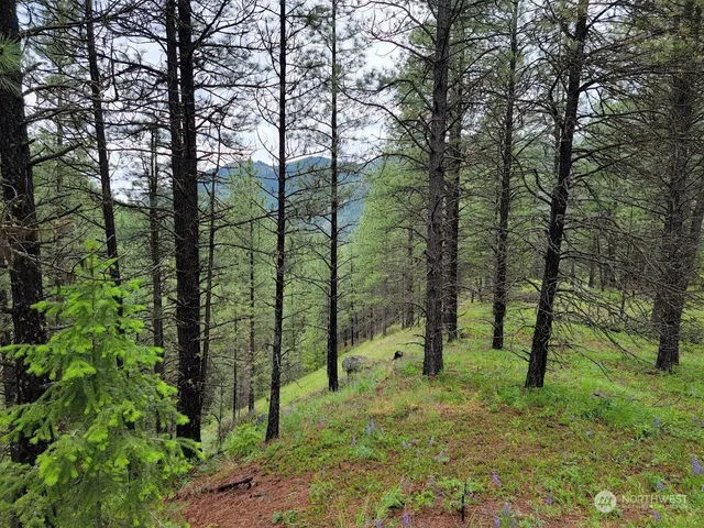 $385,000 | 2510 East San Poil Road, Keller, WA 99140