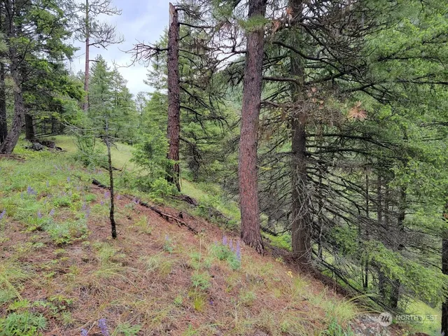 $385,000 | 2510 East San Poil Road, Keller, WA 99140