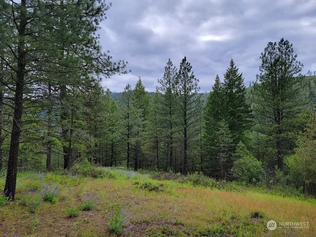 $385,000 | 2510 East San Poil Road, Keller, WA 99140