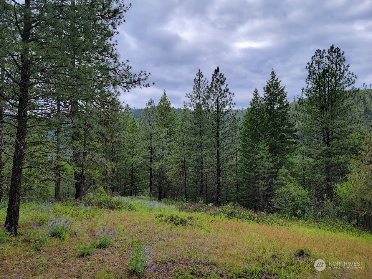 2510 East San Poil Road Keller, WA 99140 - Photo 27 of 38