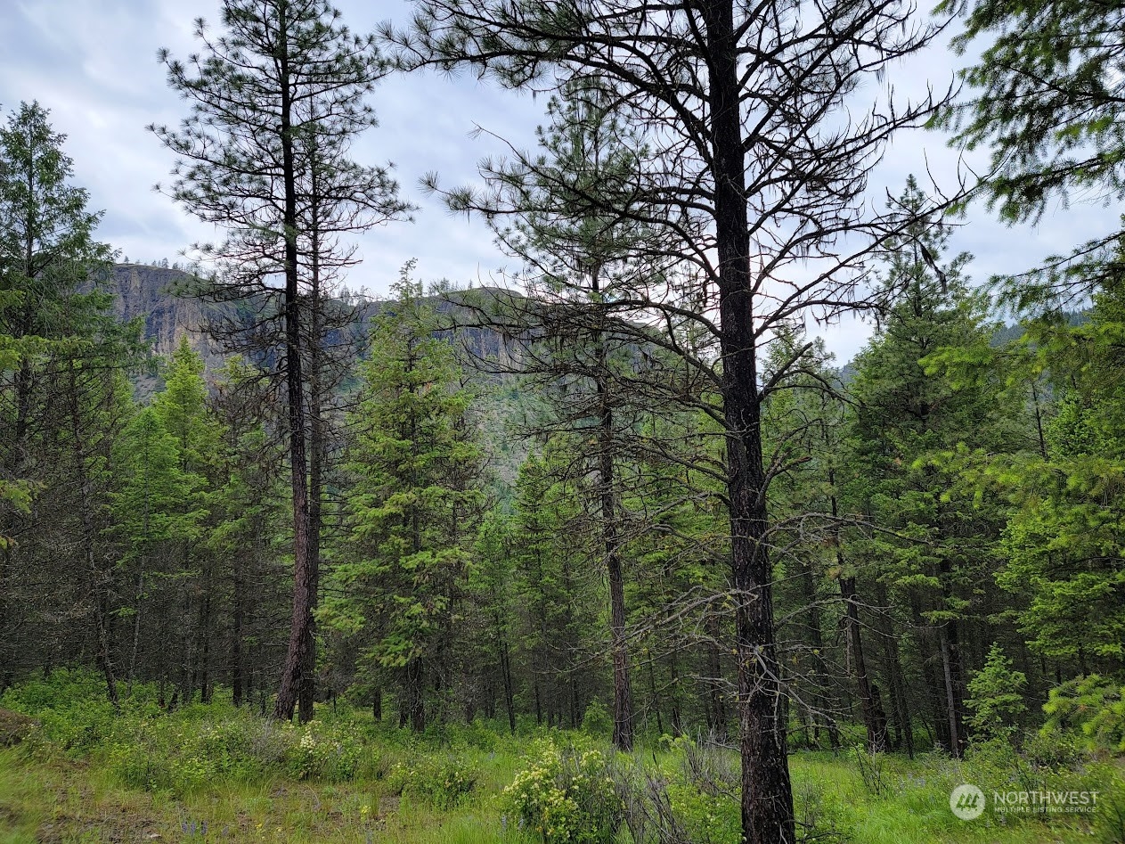 2510 East San Poil Road Keller, WA 99140 - Photo 28 of 38