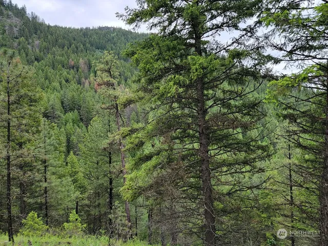 $385,000 | 2510 East San Poil Road, Keller, WA 99140