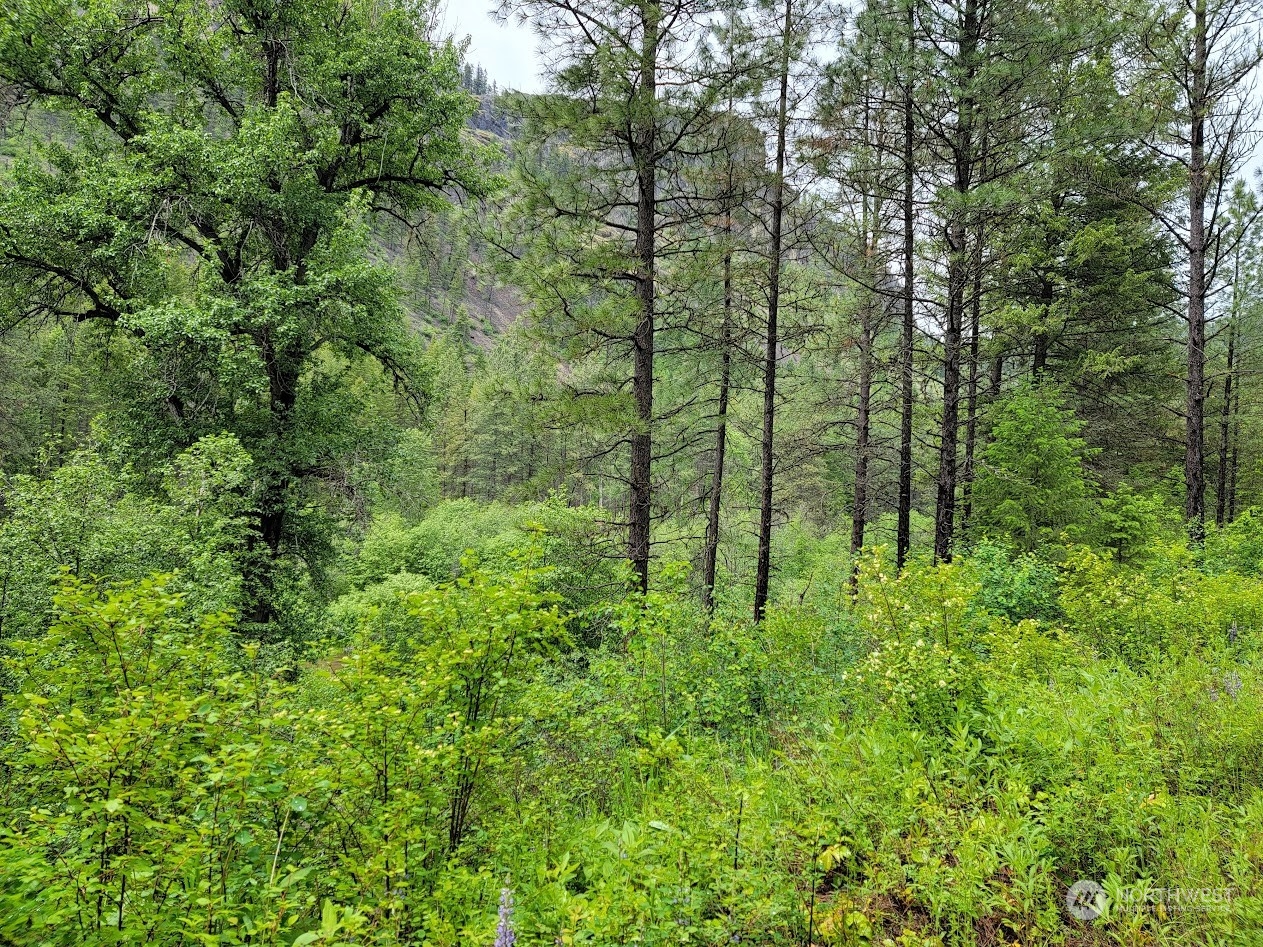 2510 East San Poil Road Keller, WA 99140 - Photo 32 of 38