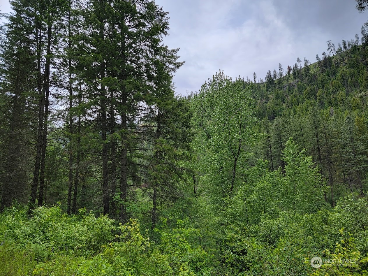 2510 East San Poil Road Keller, WA 99140 - Photo 34 of 38