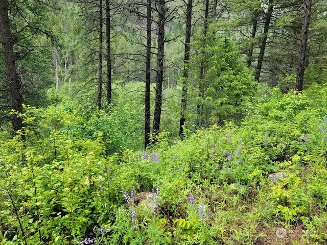 $385,000 | 2510 East San Poil Road, Keller, WA 99140