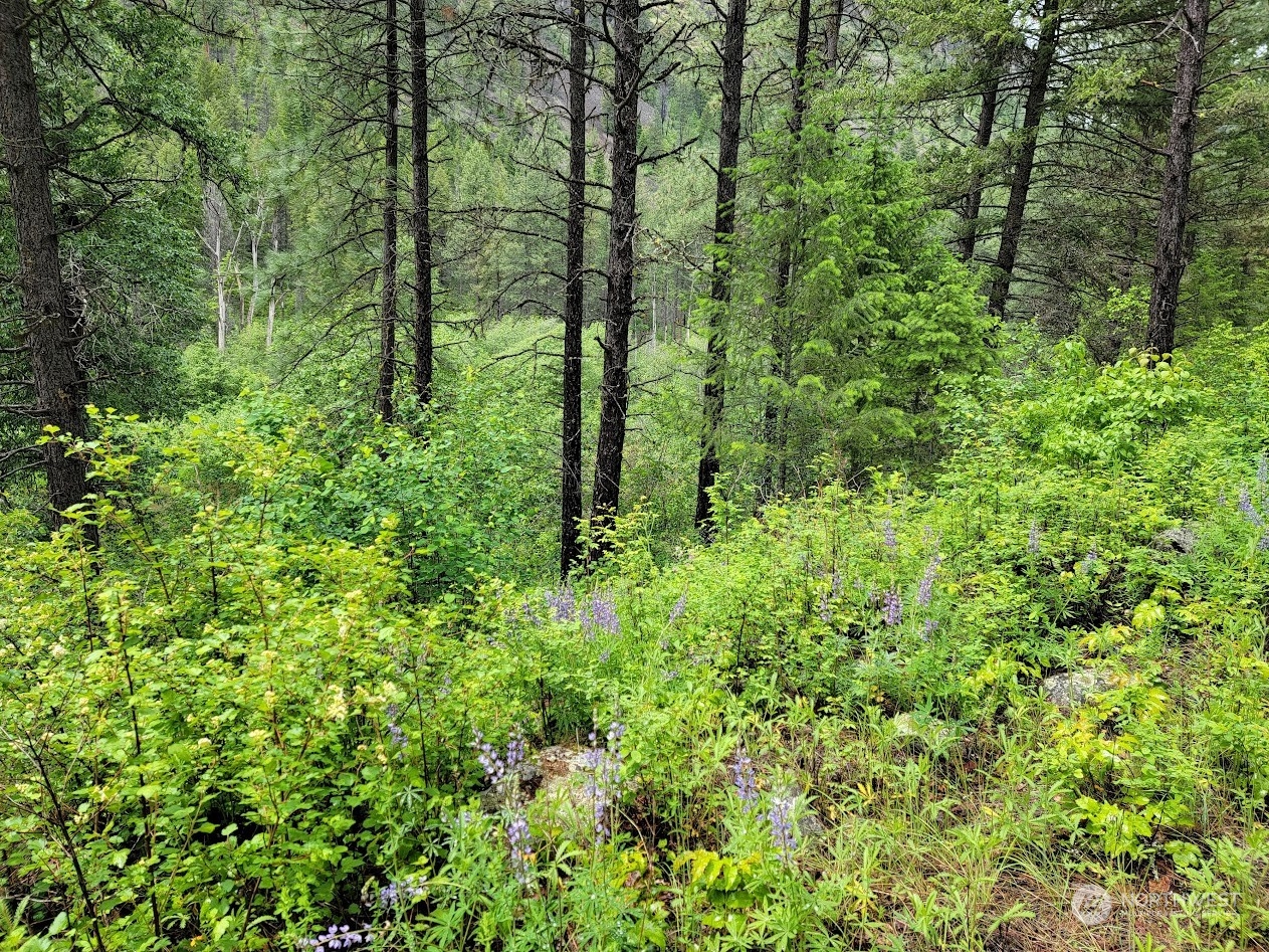 2510 East San Poil Road Keller, WA 99140 - Photo 35 of 38