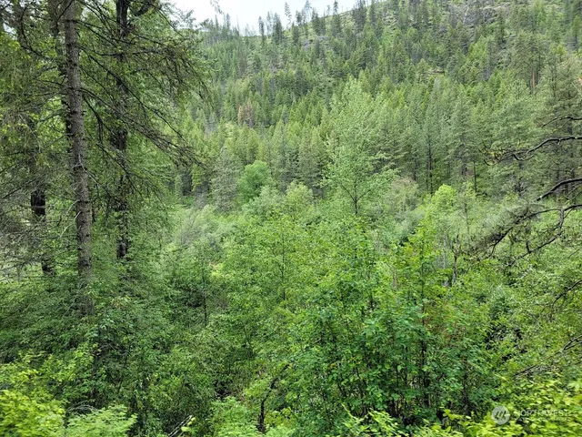 $385,000 | 2510 East San Poil Road, Keller, WA 99140