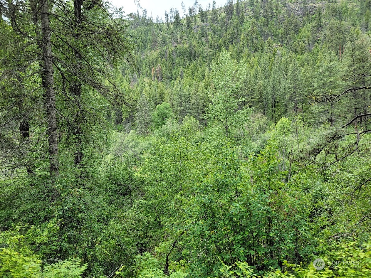 2510 East San Poil Road Keller, WA 99140 - Photo 36 of 38