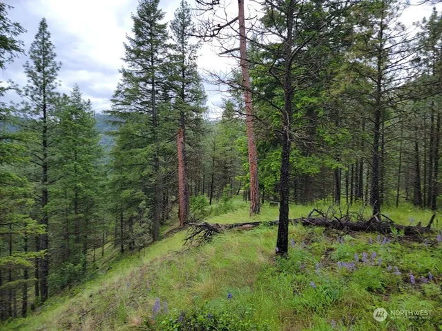 $385,000 | 2510 East San Poil Road, Keller, WA 99140