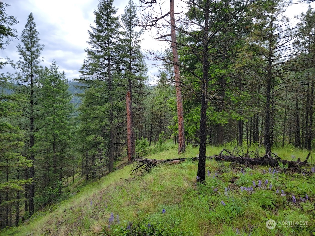 2510 East San Poil Road Keller, WA 99140 - Photo 38 of 38