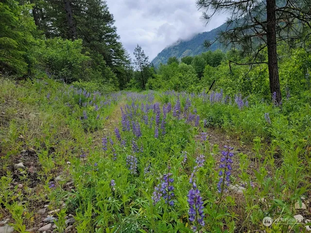 $385,000 | 2510 East San Poil Road, Keller, WA 99140