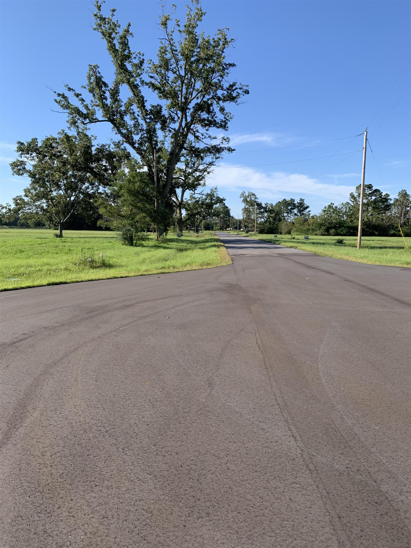 Lot 10 Gopher Court Elberta, AL 36530 - Photo 2 of 3