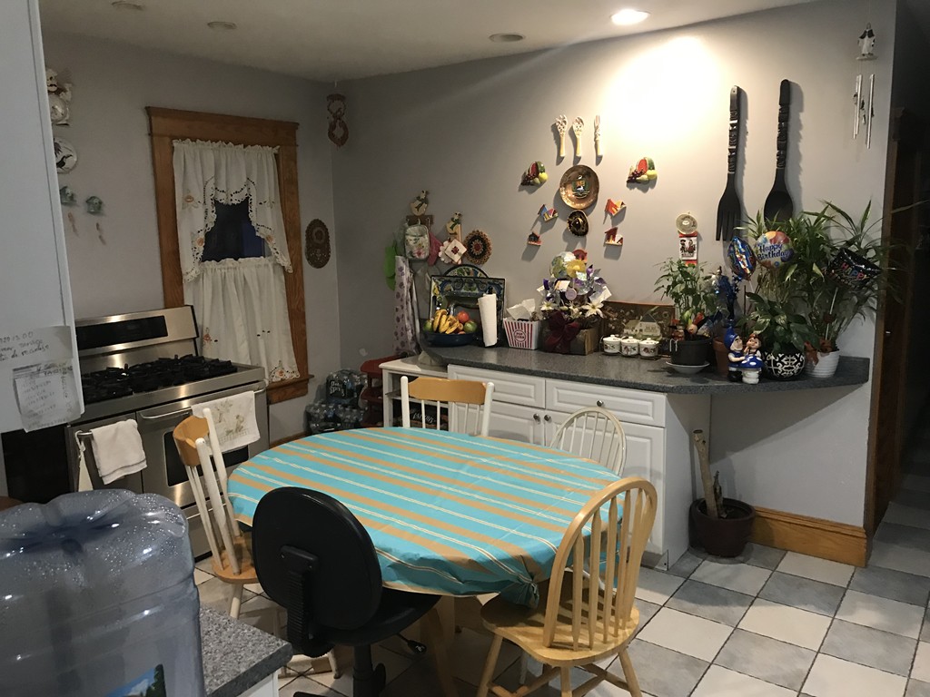 35 Plantation Street Worcester, MA 01604 - Photo 4 of 18