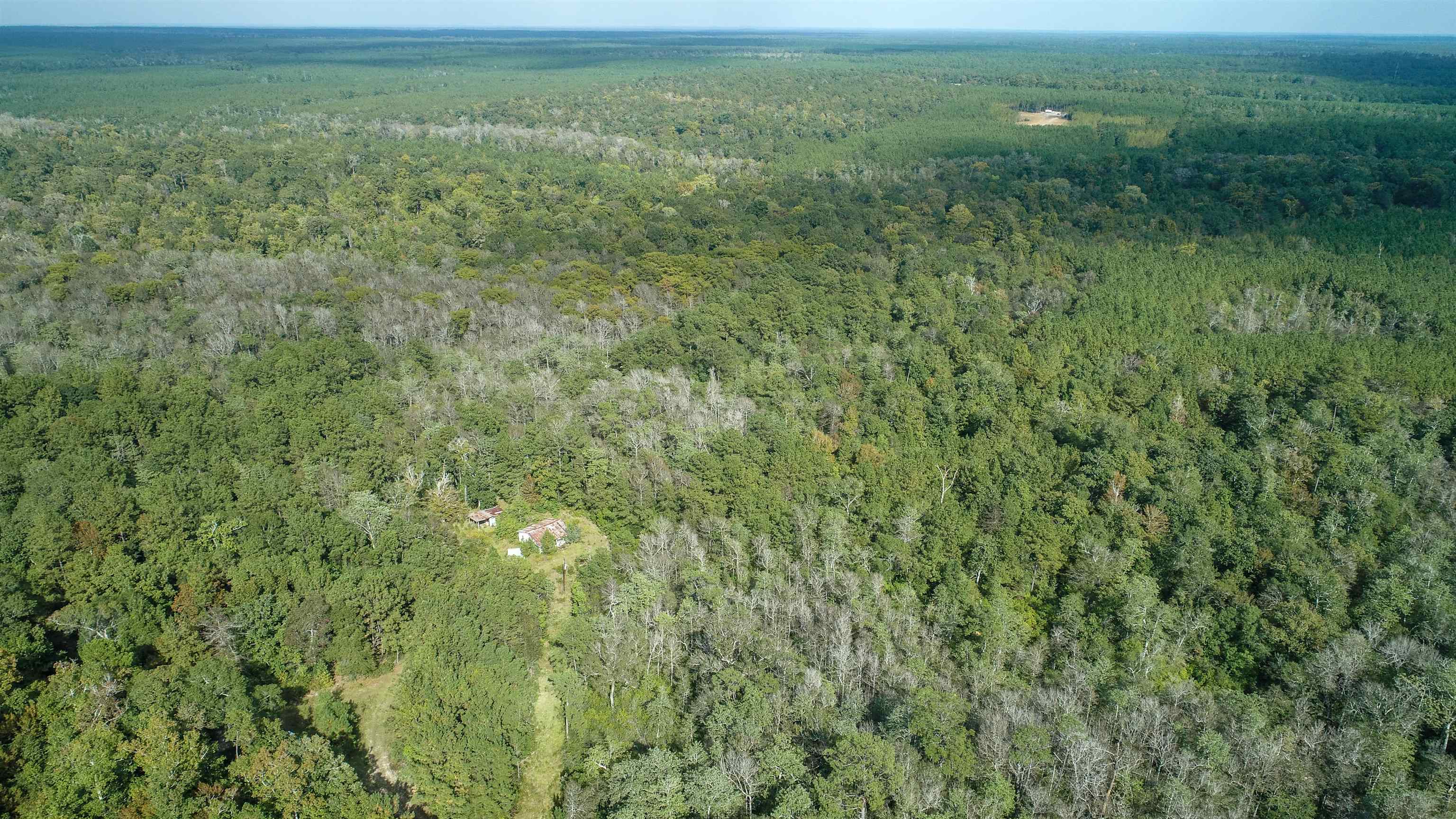 Pope Mill Road Hillister, TX 77624 - Photo 7 of 12 Gallery Image 7