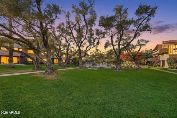 a huge green field with lots of trees