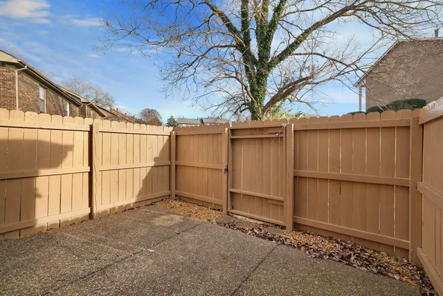 a view of a backyard