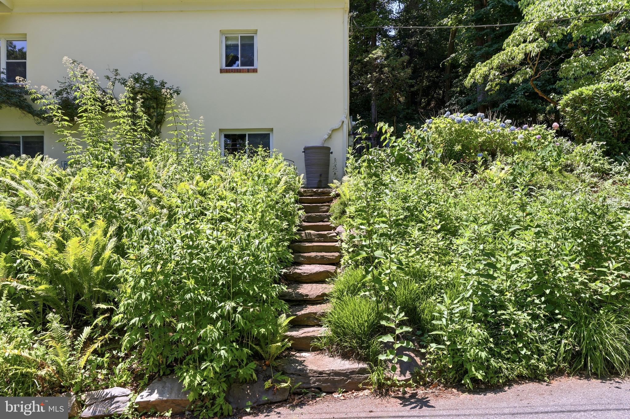 1724 Robinhood Road Annapolis, MD 21401 - Photo 45 of 73 Mature gardens