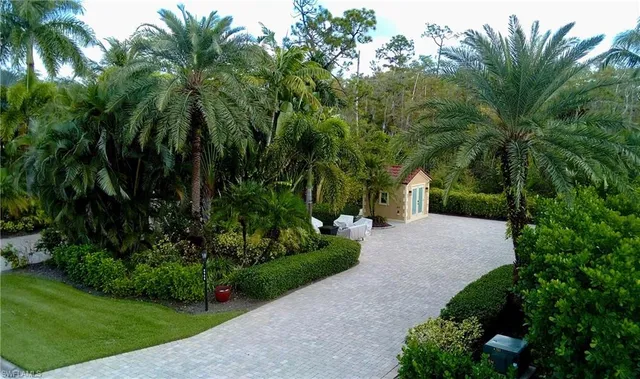 a view of a yard with palm trees