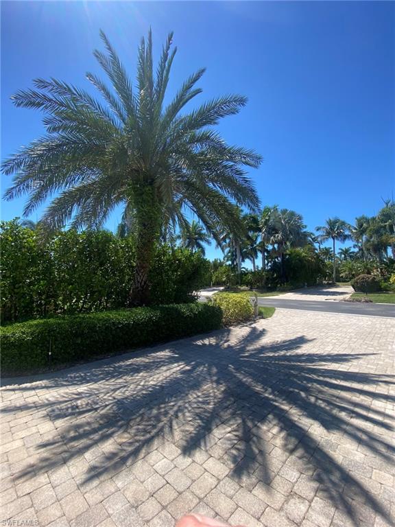 4948 Coach Lane Naples, FL 34114 - Photo 6 of 16 a view of a backyard