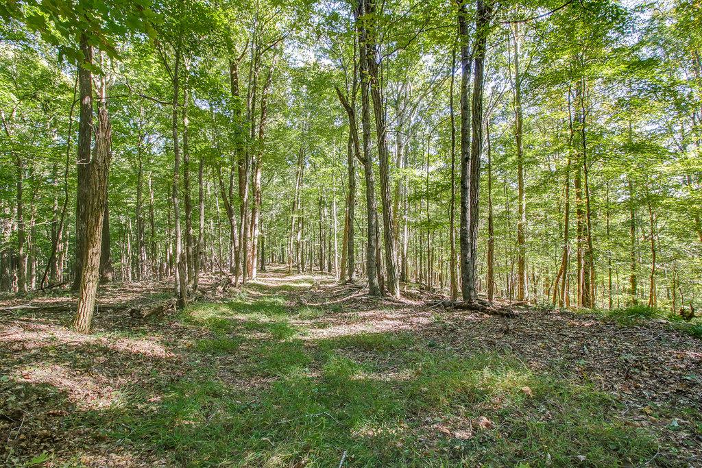 4 Natchez Rdg Lane Franklin, TN 37064 - Photo 4 of 6 Gallery Image 4