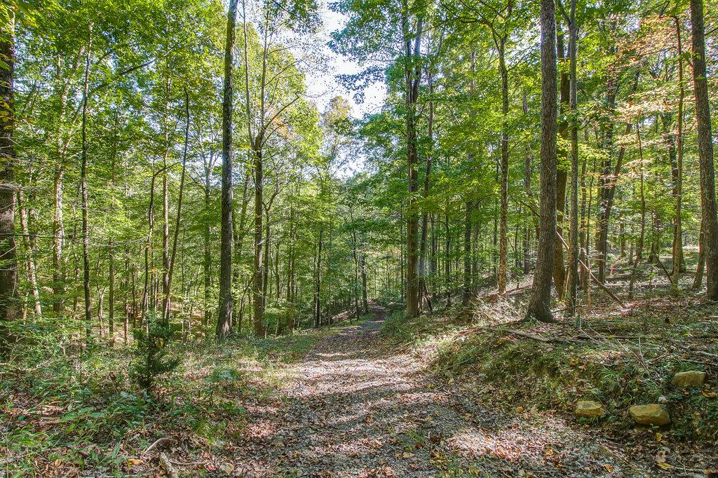 4 Natchez Rdg Lane Franklin, TN 37064 - Photo 5 of 6 Gallery Image 5