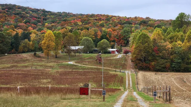 a view of lake with mountain