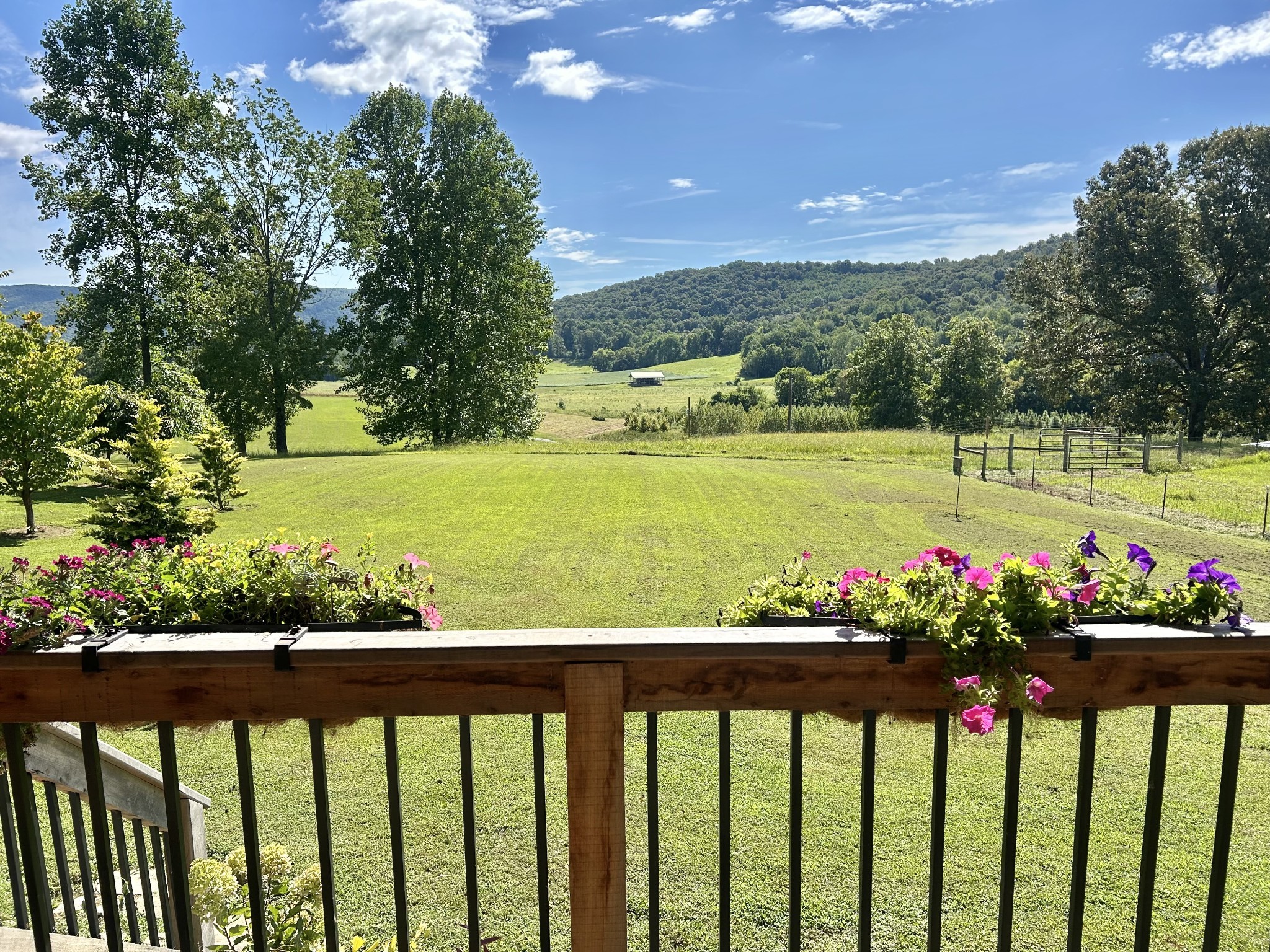 604 Oris Sain Road Morrison, TN 37357 - Photo 13 of 99