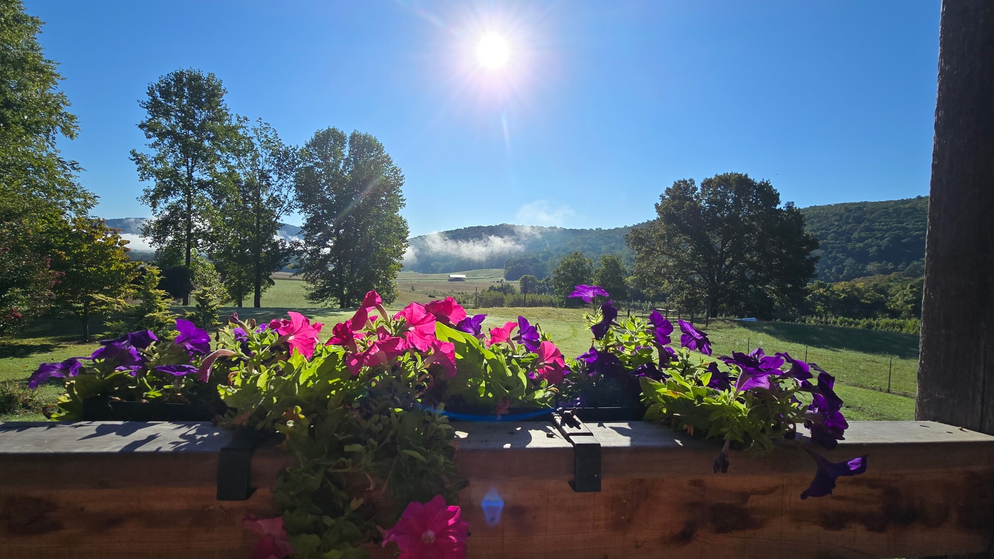 604 Oris Sain Road Morrison, TN 37357 - Photo 14 of 99