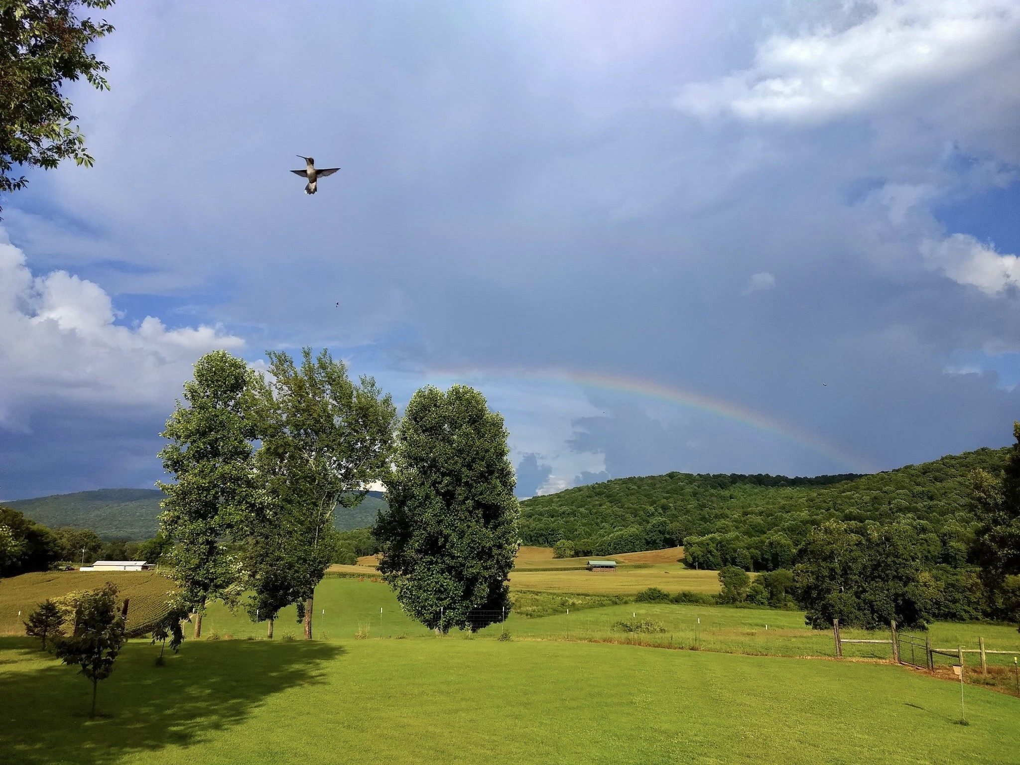 604 Oris Sain Road Morrison, TN 37357 - Photo 15 of 99