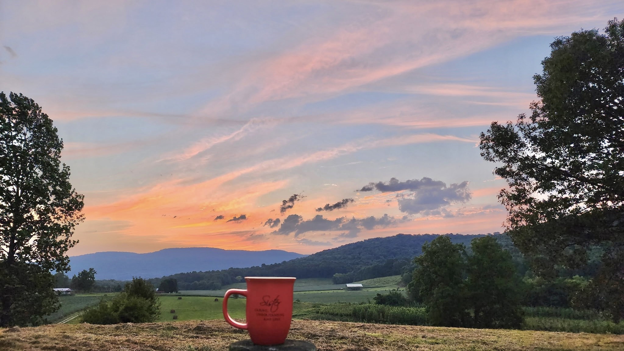 604 Oris Sain Road Morrison, TN 37357 - Photo 16 of 99