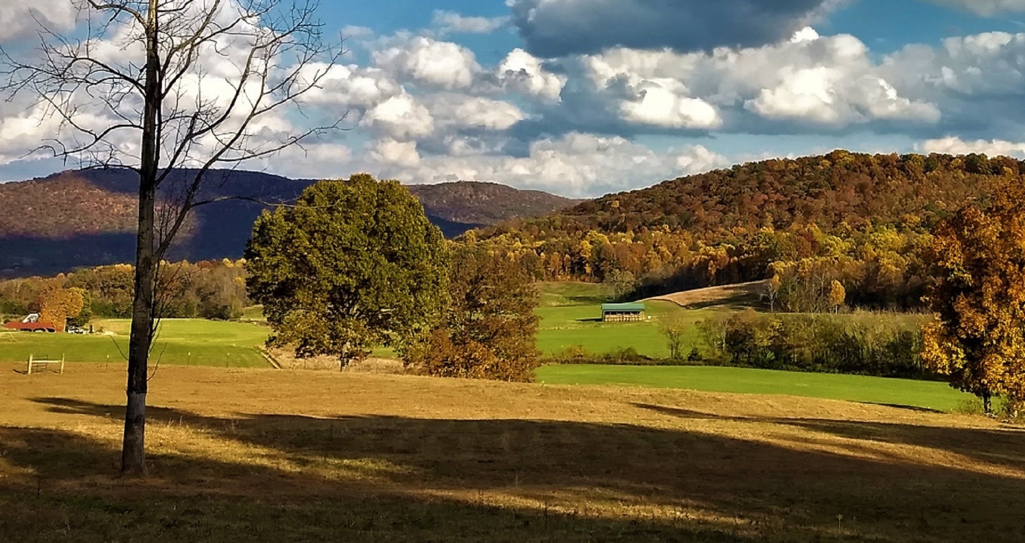 604 Oris Sain Road Morrison, TN 37357 - Photo 17 of 99