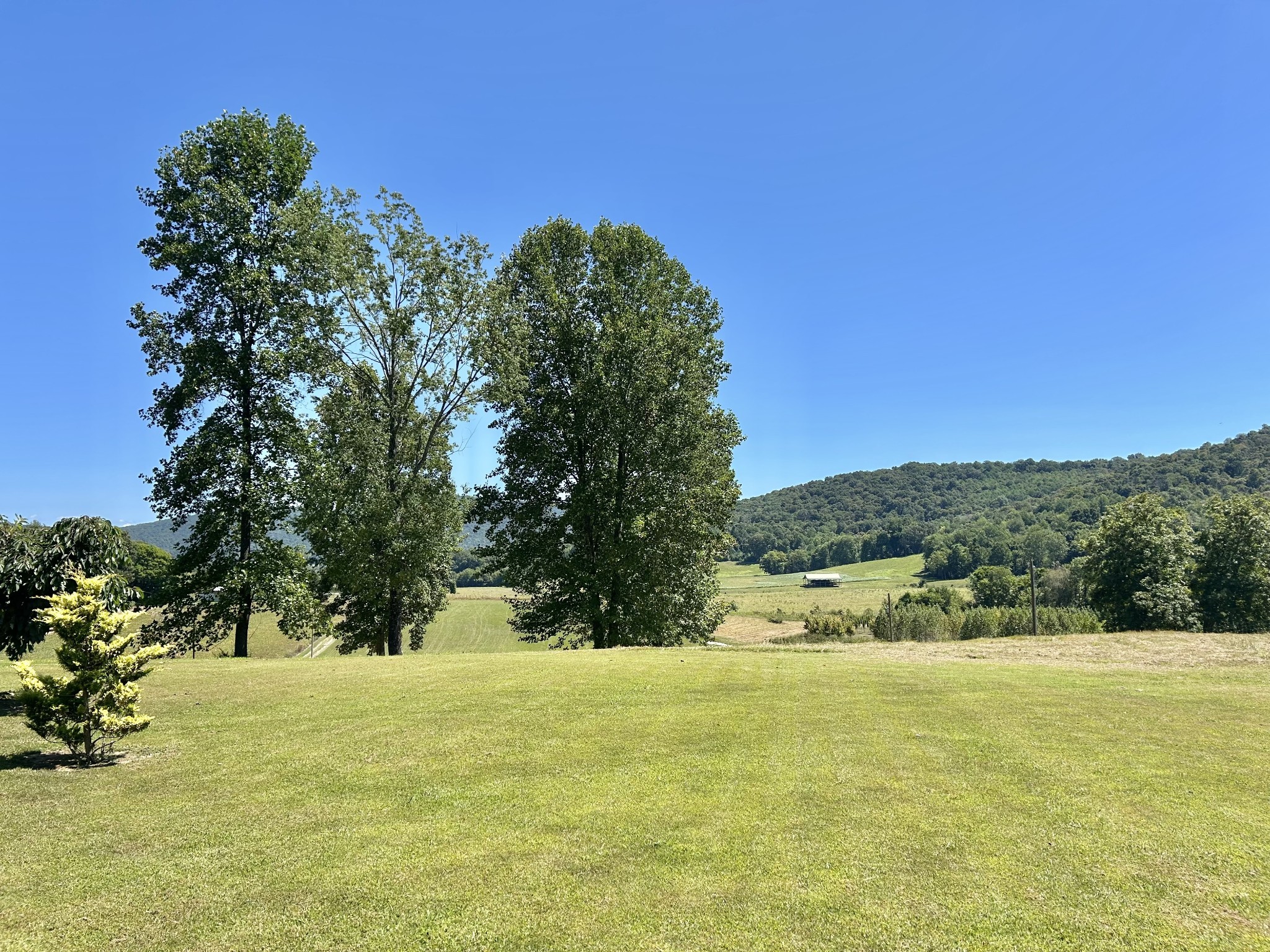 604 Oris Sain Road Morrison, TN 37357 - Photo 19 of 99