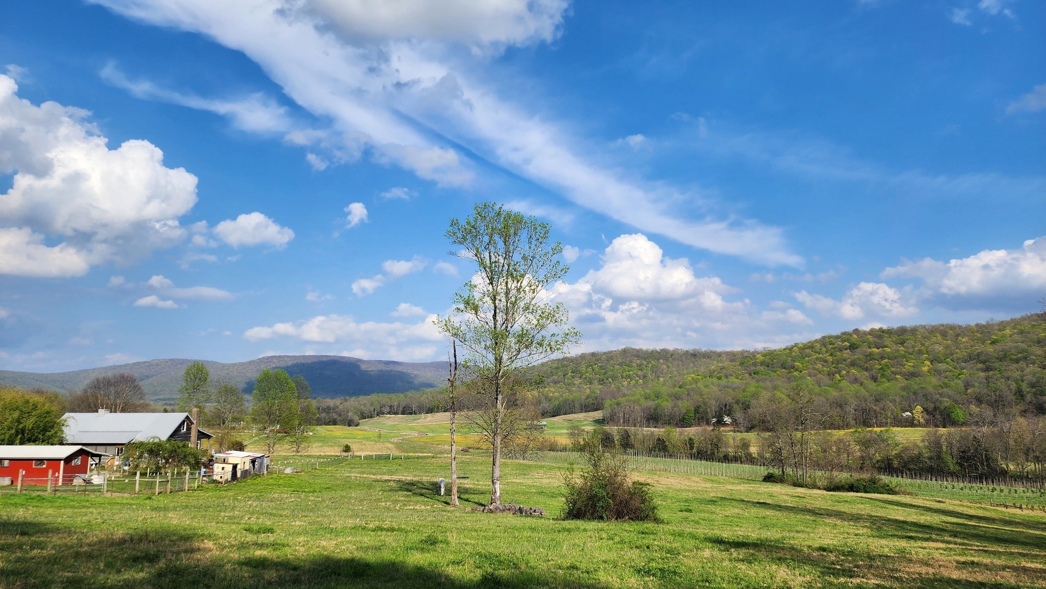 604 Oris Sain Road Morrison, TN 37357 - Photo 21 of 99