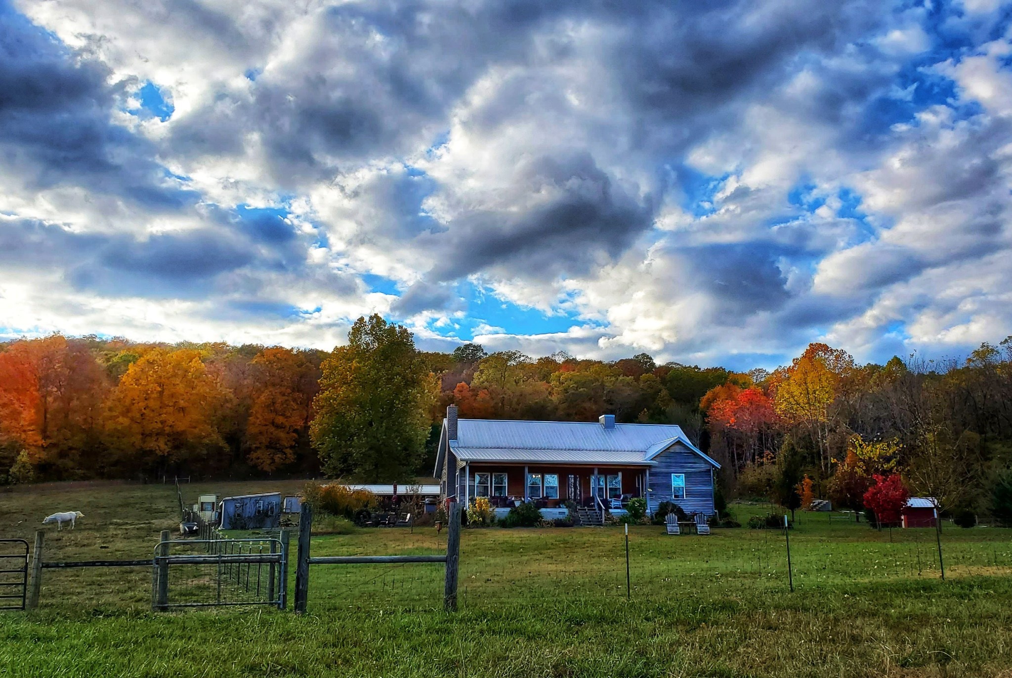 604 Oris Sain Road Morrison, TN 37357 - Photo 23 of 99 a view of a house with a big yard