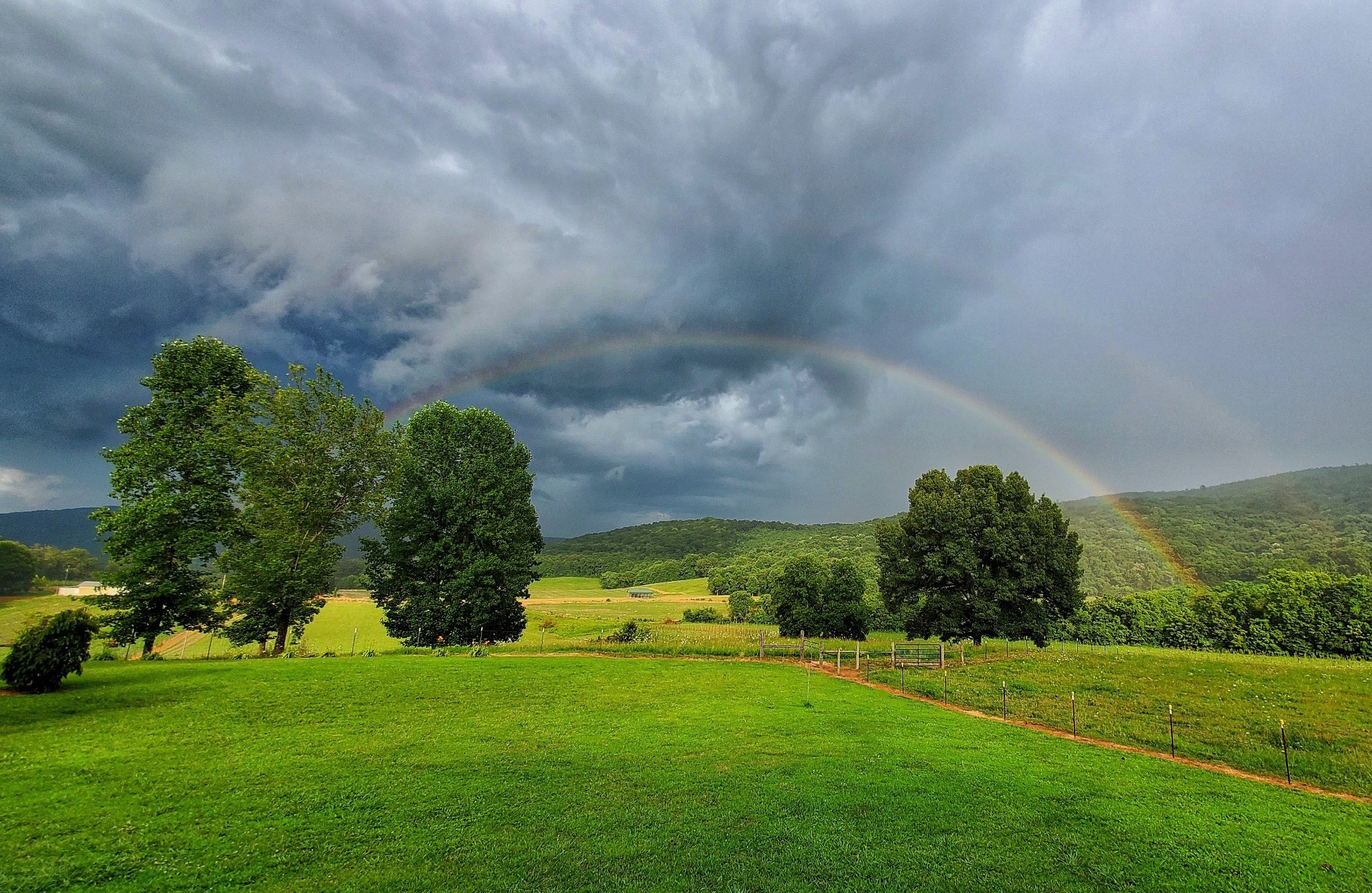 604 Oris Sain Road Morrison, TN 37357 - Photo 3 of 99 a view of a golf course with a garden