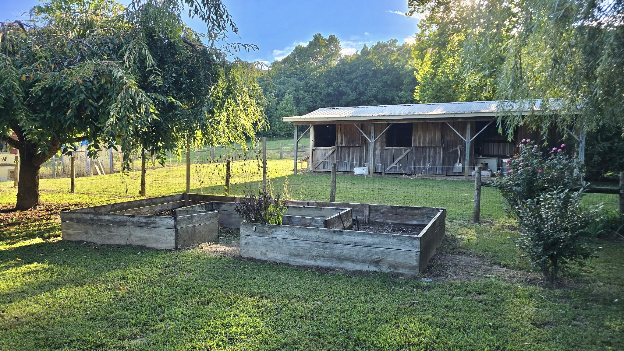 604 Oris Sain Road Morrison, TN 37357 - Photo 44 of 99 a view of a house with backyard and a tree