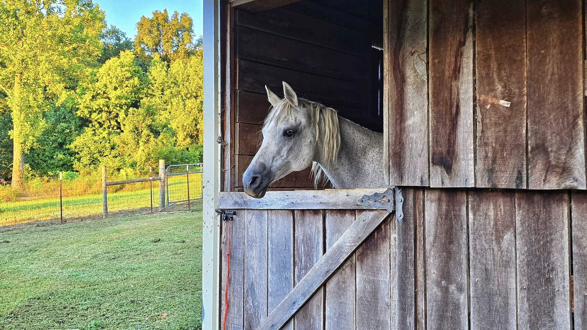 604 Oris Sain Road Morrison, TN 37357 - Photo 46 of 99
