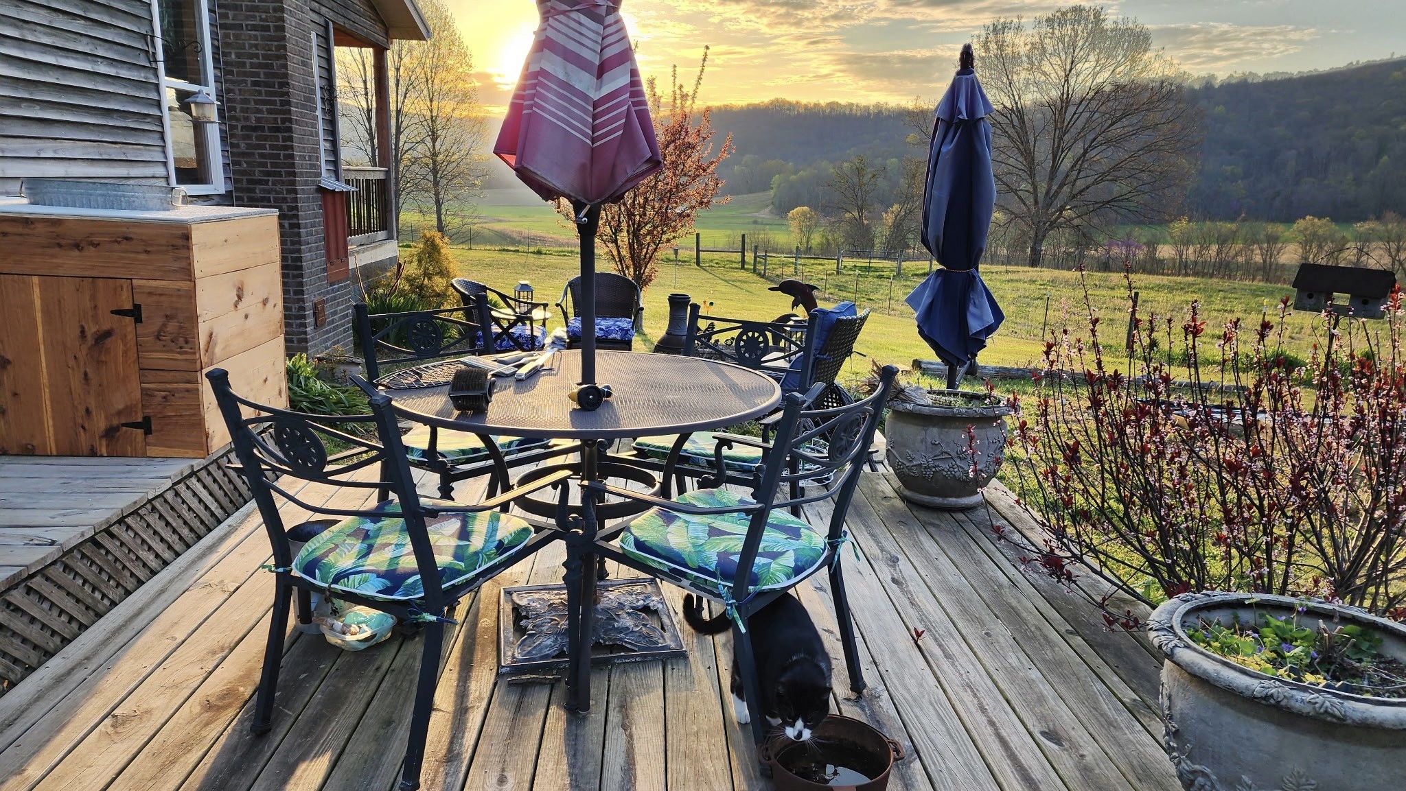 604 Oris Sain Road Morrison, TN 37357 - Photo 55 of 99 a view of a chairs and table in patio