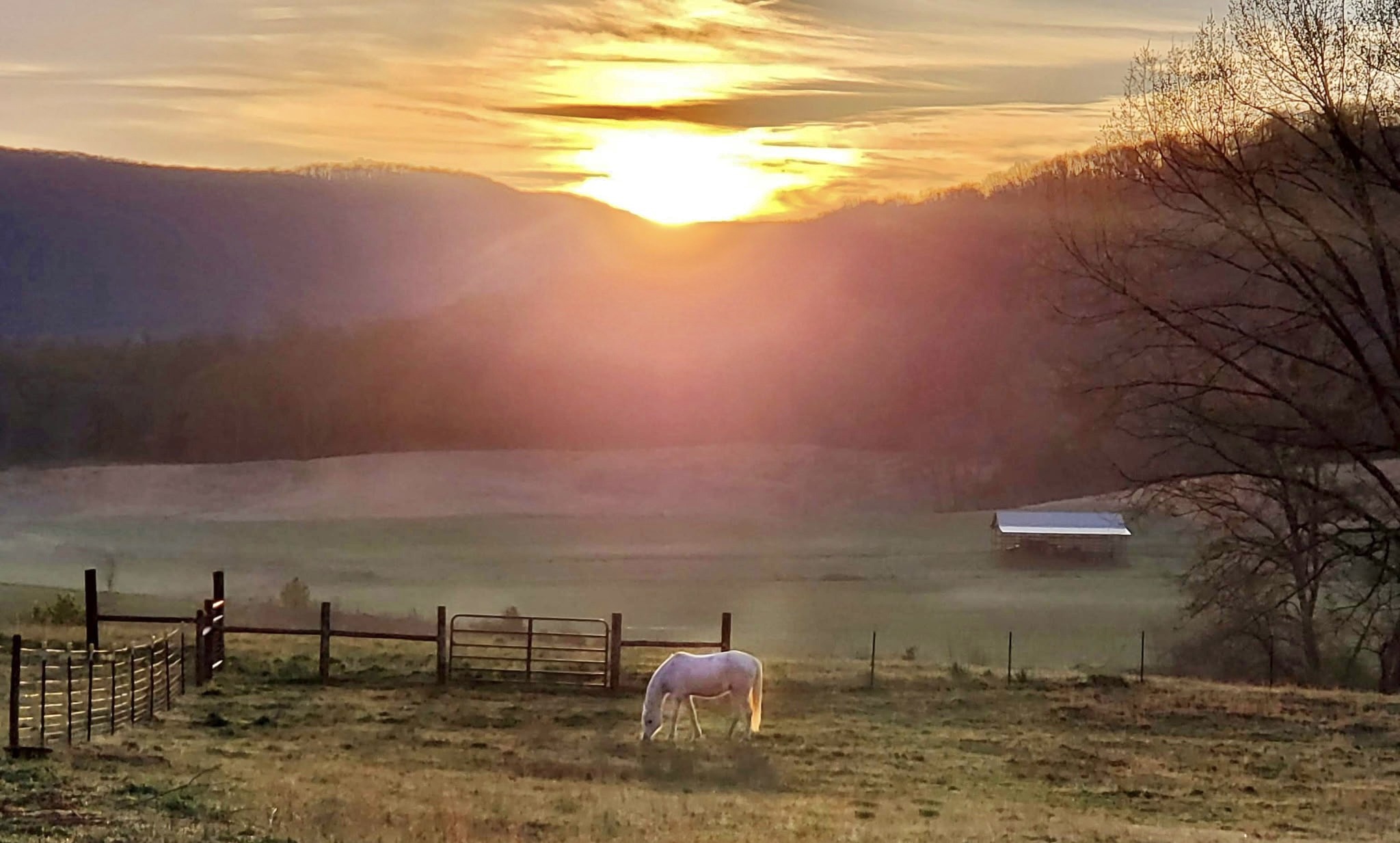 604 Oris Sain Road Morrison, TN 37357 - Photo 6 of 99