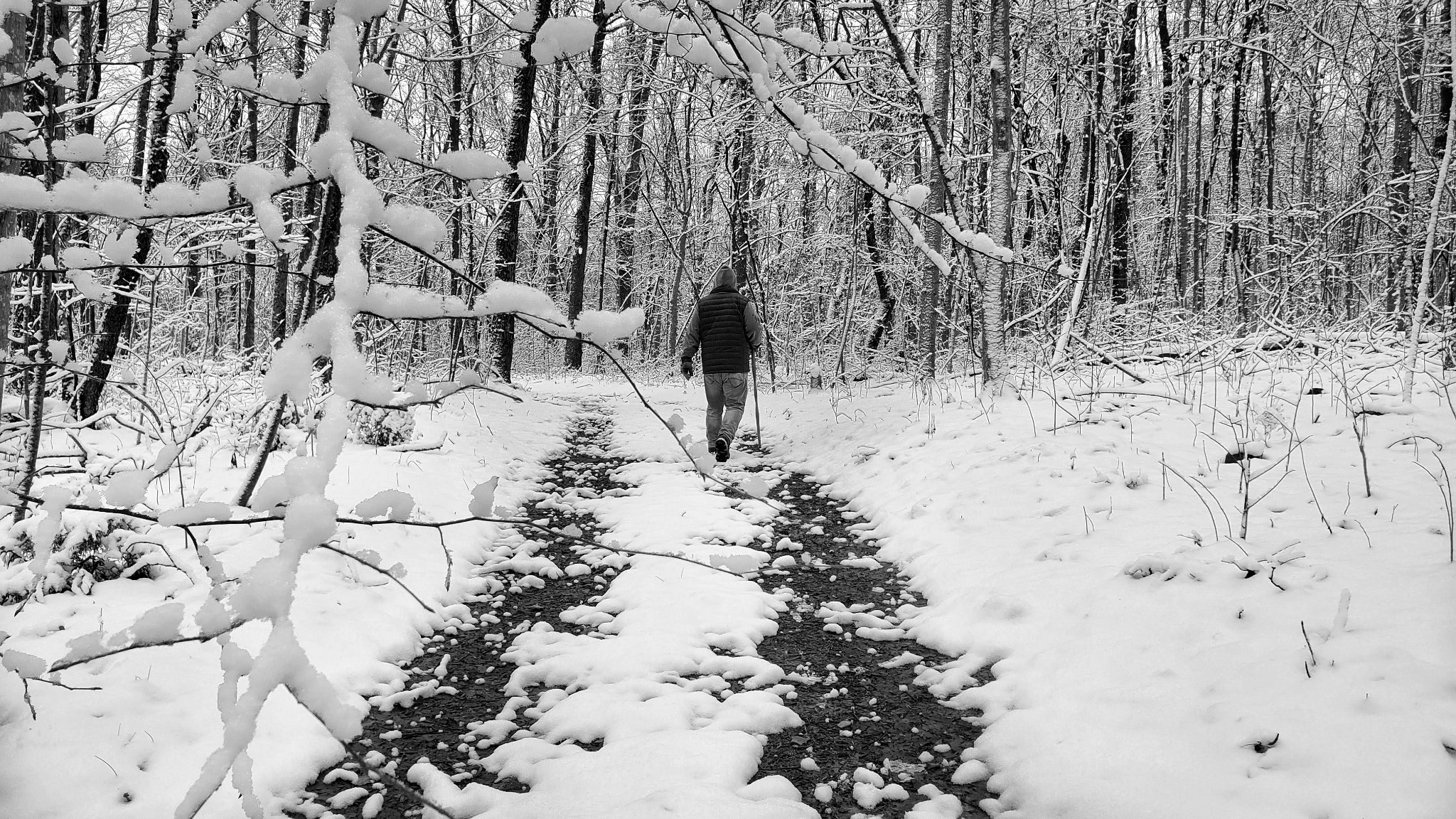604 Oris Sain Road Morrison, TN 37357 - Photo 78 of 99 a view of covered with snow