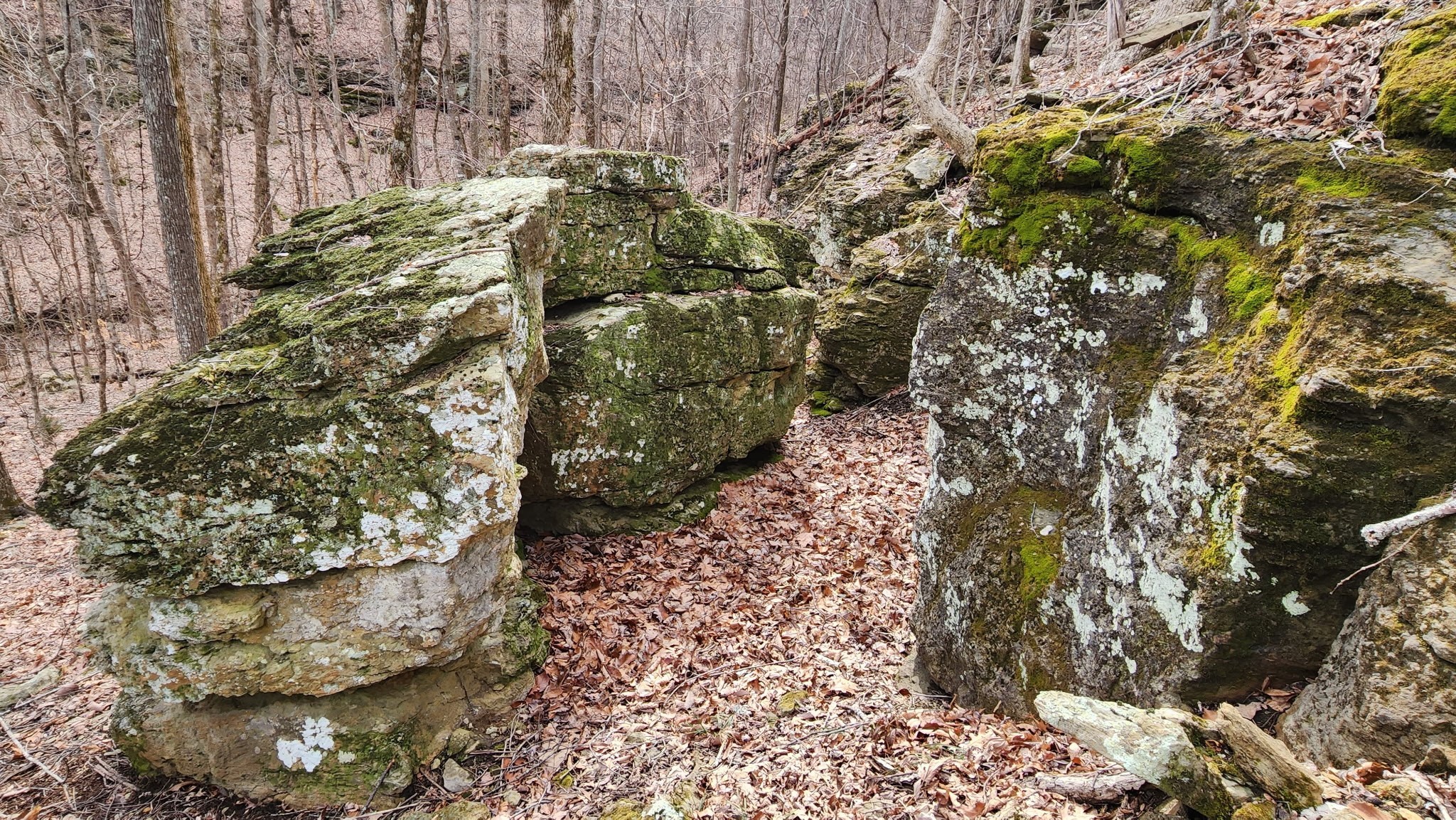 604 Oris Sain Road Morrison, TN 37357 - Photo 79 of 99