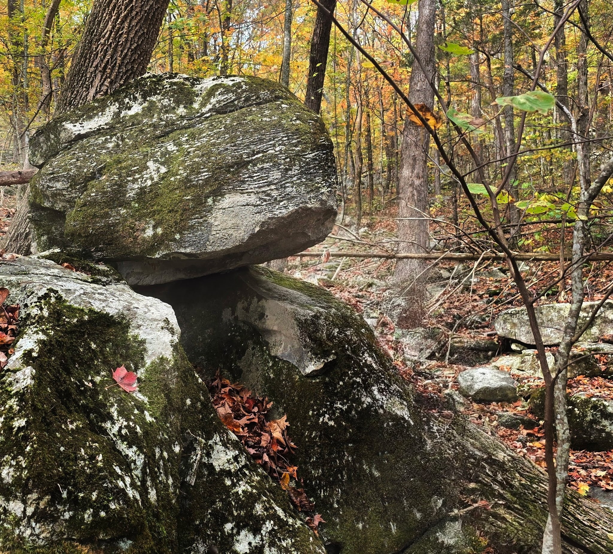 604 Oris Sain Road Morrison, TN 37357 - Photo 80 of 99