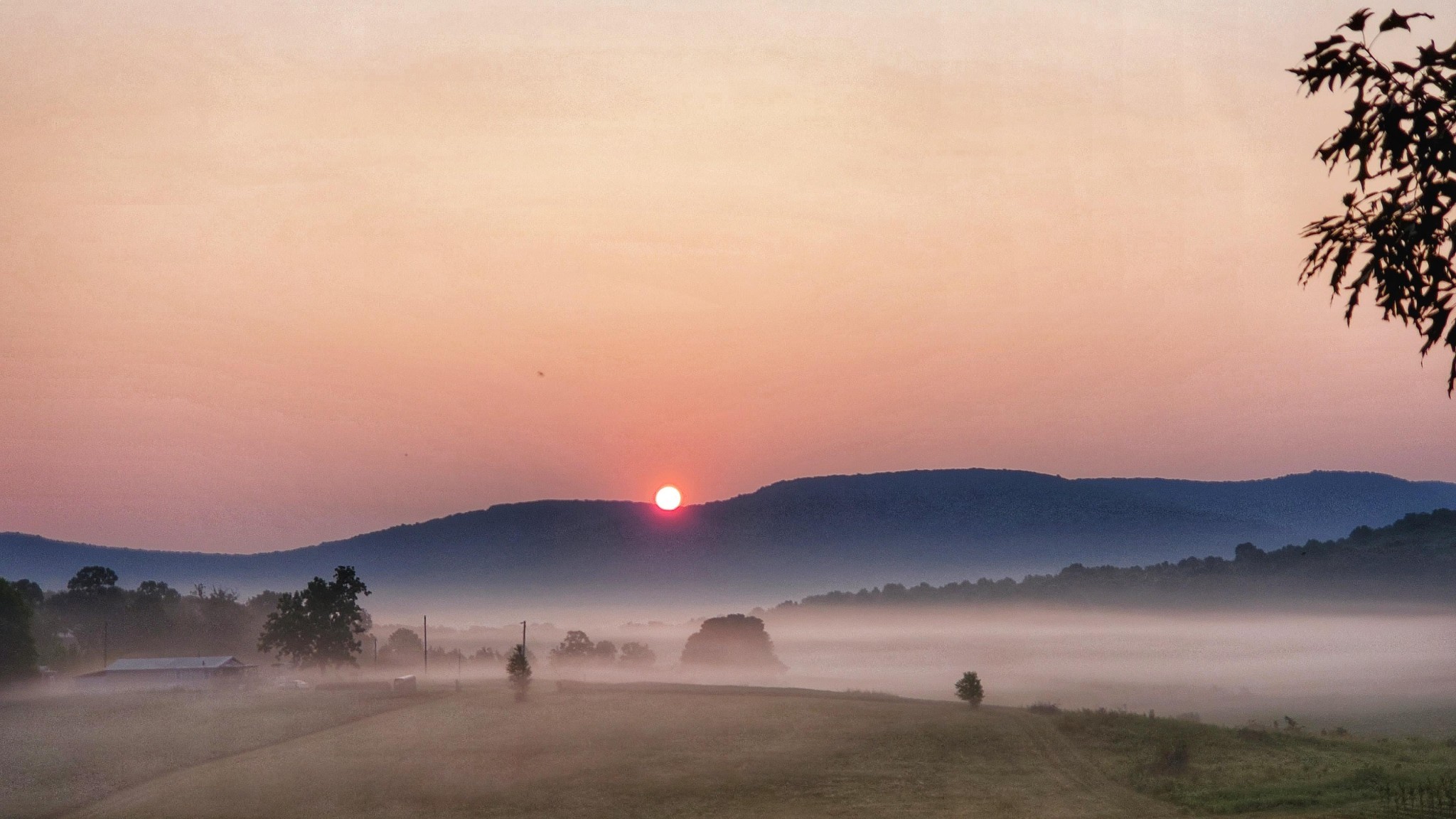 604 Oris Sain Road Morrison, TN 37357 - Photo 84 of 99