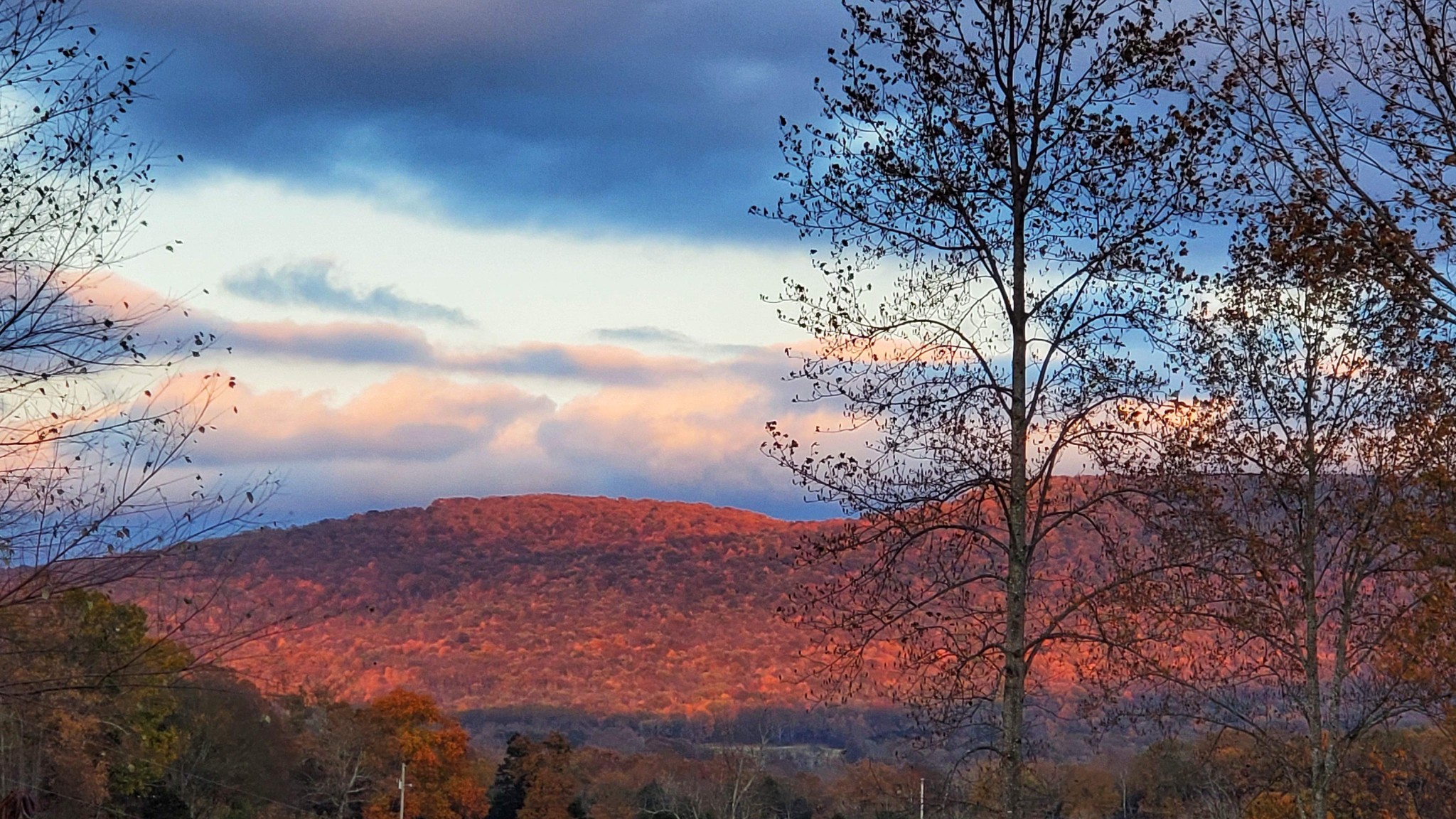 604 Oris Sain Road Morrison, TN 37357 - Photo 85 of 99