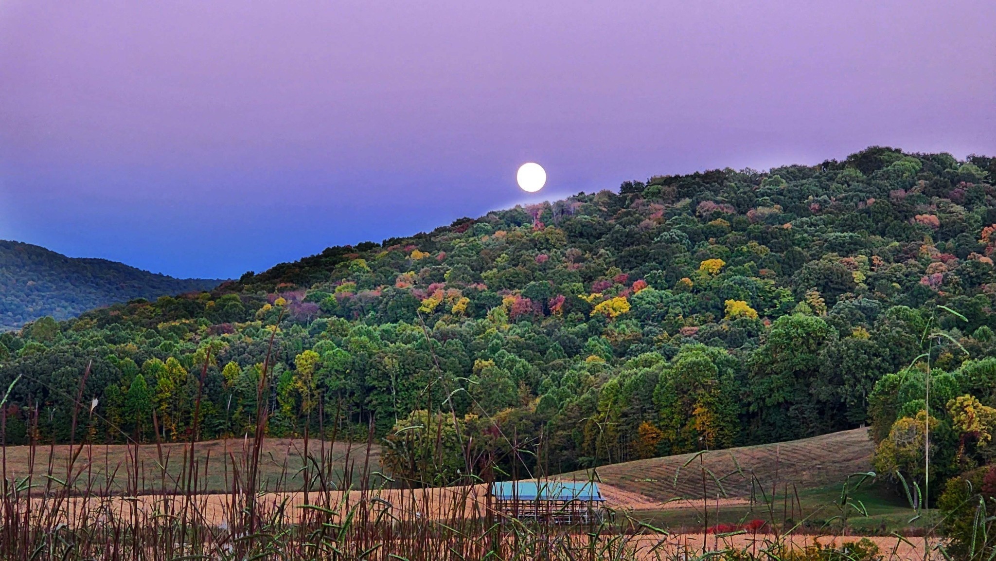 604 Oris Sain Road Morrison, TN 37357 - Photo 90 of 99