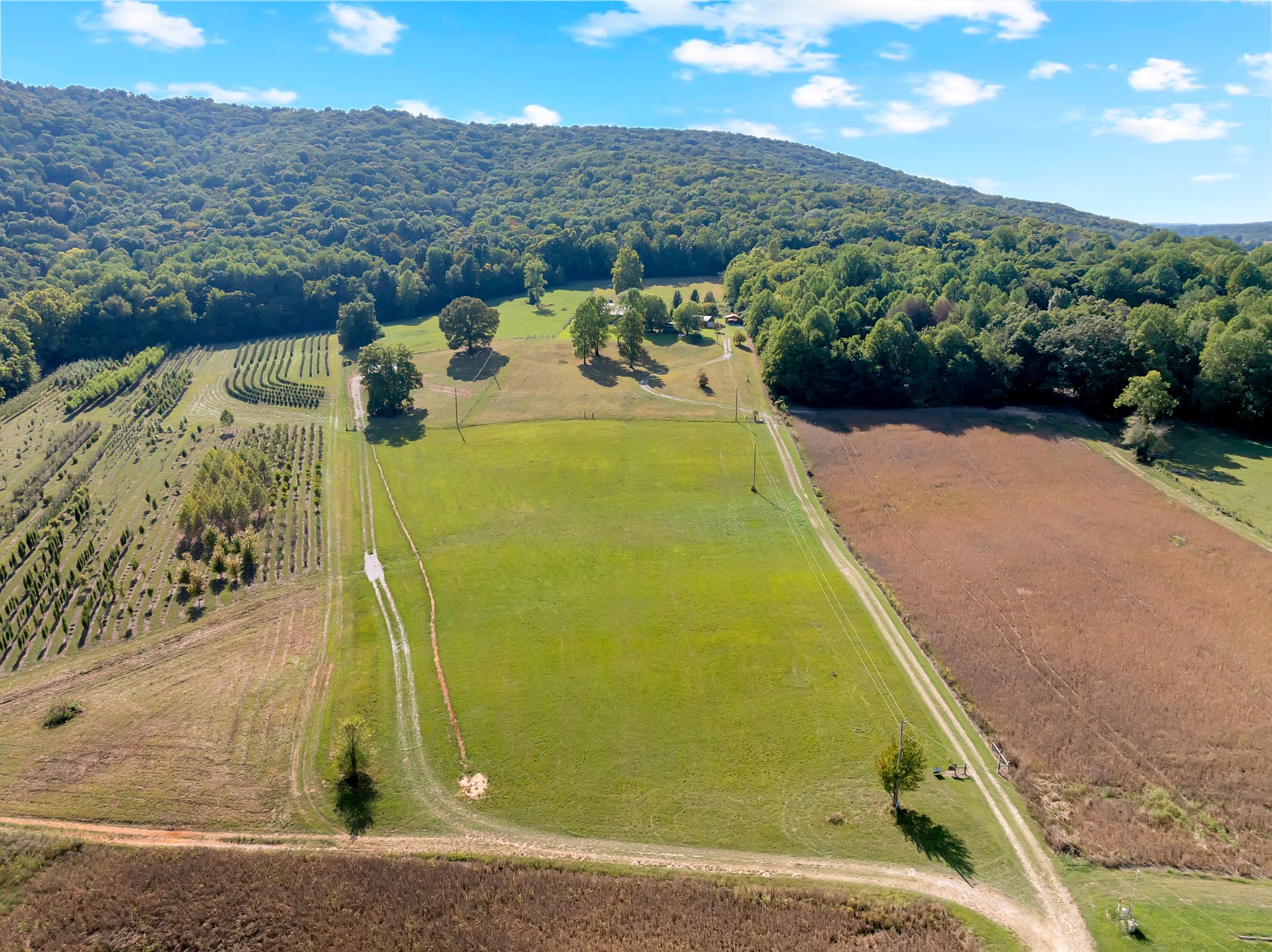 604 Oris Sain Road Morrison, TN 37357 - Photo 98 of 99 a view of a swimming pool with a yard and mountain view