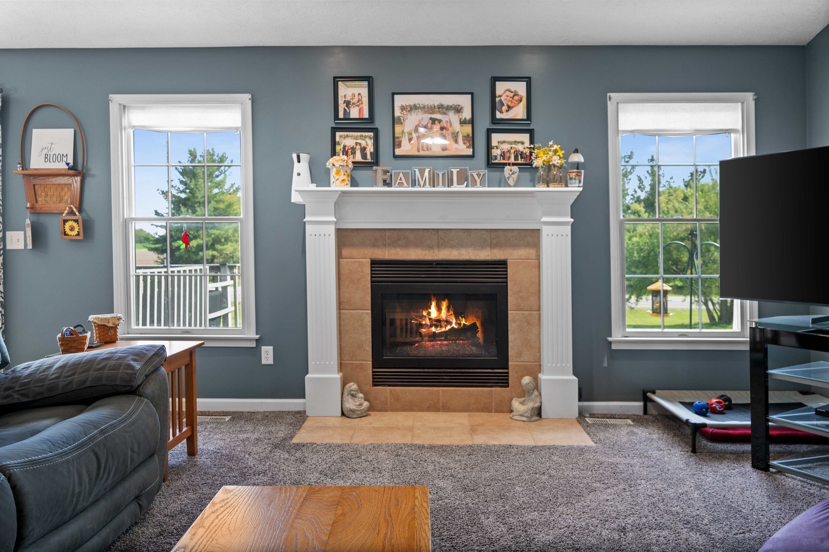 421 Sunset Drive Colfax, IL 61728 - Photo 4 of 44